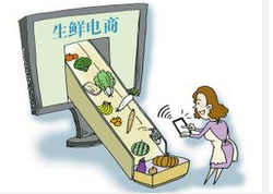 東方智啟科技APP開發(fā)-生鮮電商手機(jī)APP開發(fā)方向