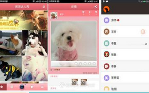 東方智啟科技APP開(kāi)發(fā)-寵物社區(qū)服務(wù)APP定制開(kāi)發(fā)
