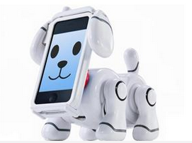 寵物直播APP開發(fā)為直播行業(yè)注入新活力