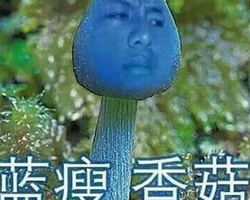 網(wǎng)約車新政 藍(lán)瘦香菇