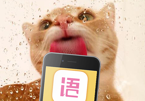 靈魂社交app開發(fā)