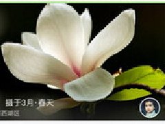 東方智啟科技APP開發(fā)-植物識別app開發(fā) 要多簡單就有多簡單
