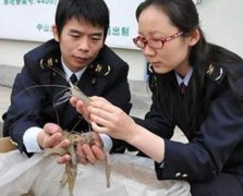 東方智啟科技APP開發(fā)-漁業(yè)養(yǎng)殖APP開發(fā)解決方案