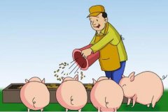 東方智啟科技APP開發(fā)-開發(fā)AI養(yǎng)豬軟件是否靠譜