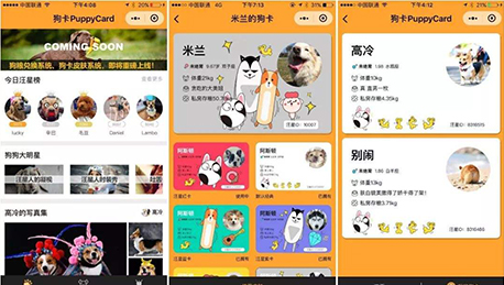 東方智啟科技APP開發(fā)-寵物小程序開發(fā)如何引起用戶好奇心