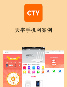 天宇手機網(wǎng)案例
