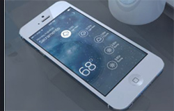 東方智啟科技APP開發(fā)-手機軟件開發(fā)公司歡慶端午