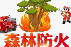 東方智啟科技APP開發(fā)-森林防火APP開發(fā)保護(hù)森林資源和人民生命財(cái)產(chǎn)安全
